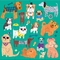 Katzen-Hundemagnetisches Puzzle 6,5 x 6,5&quot; Mehrfarben