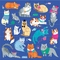 Katzen-Hundemagnetisches Puzzle 6,5 x 6,5&quot; Mehrfarben